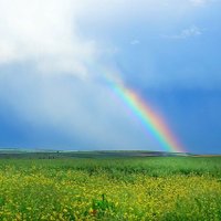 空と心 (@sora_to_kokoro) Twitter profile photo