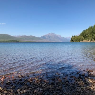 bugdad999's profile picture. family, bjj, autarchocapitalist