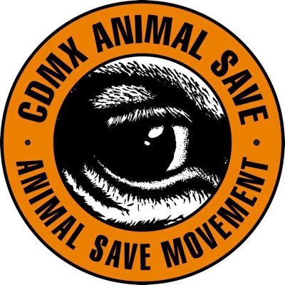 CDMX Animal Save