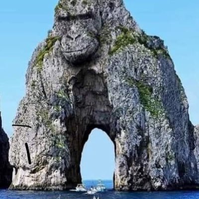 graftspee1's profile picture. 