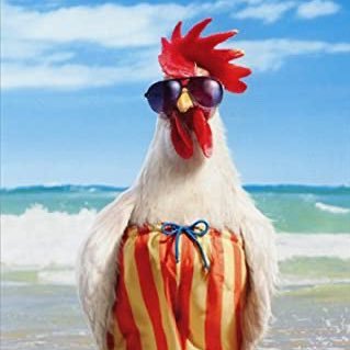 markgonnering's profile picture. 