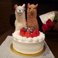 🦙さりこ🕊(@aloha_kyoto1610) 's Twitter Profile Photo