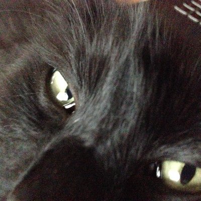 Highlandelder's profile picture. 