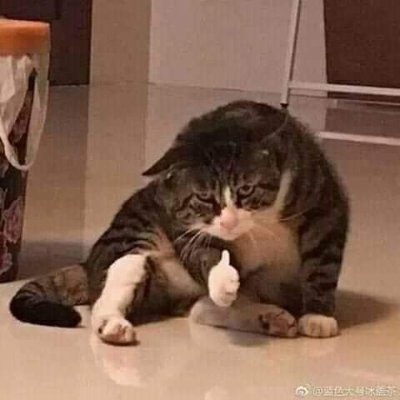 Yochさんのプロフィール画像