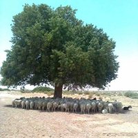 lluvia 🌦 (@cesolmatteo) 's Twitter Profile Photo