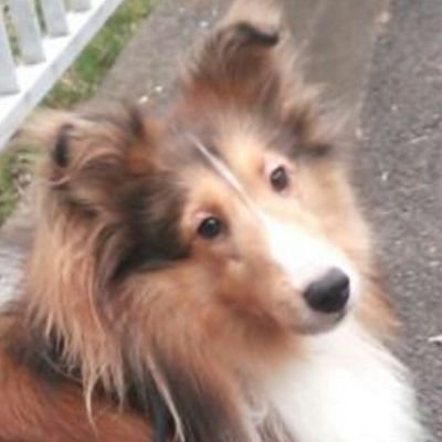 ゆあくんさんのプロフィール画像