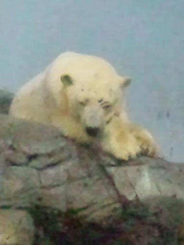 saku70xyz's profile picture. 副業、健康、恋愛など、ネットビジネス情報をどんどん発信していきます。基本まともな情報ですが、中には十分に精査できていない情報もあります^^;　あまりにオイシ過ぎると感じる情報にはご注意を。私個人は温泉でのんびりしたい今日この頃です～