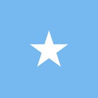 الصومال بالعربية(@Somalia_Arabic_) 's Twitter Profileg