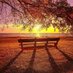 L'esprit (@sunsetstime0) Twitter profile photo L'esprit (@sunsetstime0) Twitter profile photo