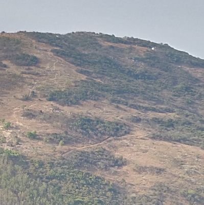 nkokukonda's profile picture. 