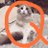 Q大和魂。目覚めるQのアイコン