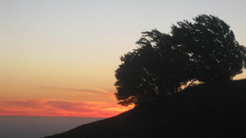 ancestralquote's profile picture. Hobbyist historian and genealogist. Lover of family history & storytelling. Believer in community connections. also @shellyljackson