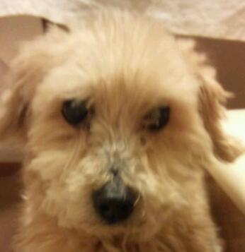 Yokeny's profile picture. 横浜市育ちです！
吾十有五にして学に志し、
三十にして立ち、
四十にして惑わず、
五十にして天命を知り、
六十にして耳順う、
七十にして心の欲するところに従い矩を踰えず

『論語』