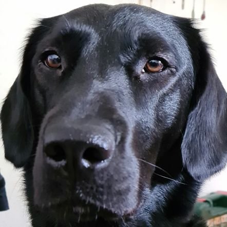 JuliaJakel's profile picture. 