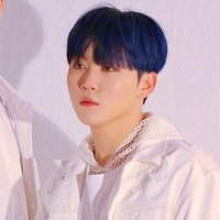 kleid (@____mingyu) 's Twitter Profile