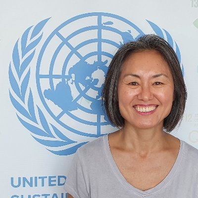 UNDCO Regional Director for Europe and Central Asia