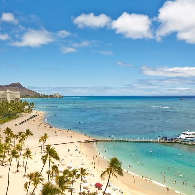 Collegehoopsfr1's profile picture. 