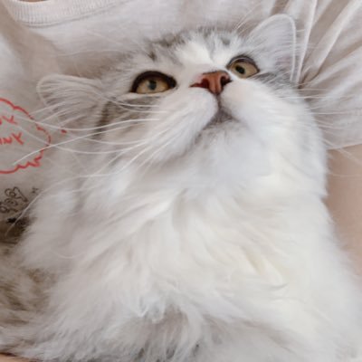 ひこ*あや