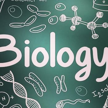BiologyOnline2's profile picture. Teacher