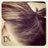 nikkilee29's profile image