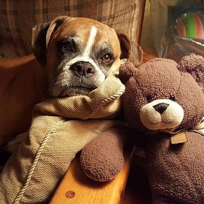 frasca_sarah's profile picture. 