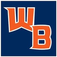 William Blount Volleyball (@wbgovsvb) 's Twitter Profile