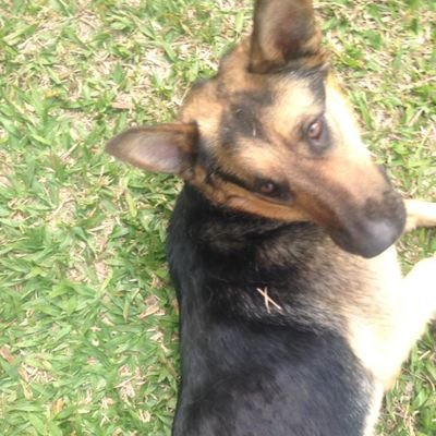 Jennifer_54255's profile picture. 