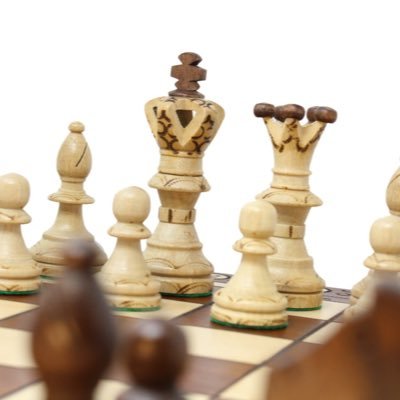 桃山学院大学チェス部です♟ @Andrew_chess104 の新規アカウントです！