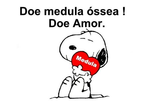 doemedulaossea's profile picture. Perfil para informação, divulgação e conscientização da necessidade das pessoas se cadastrarem como doadores de medula óssea.