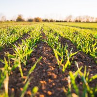 Agro Global Exim (@agro_exim) 's Twitter Profile