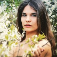 Madeleine Bevan (@madeleinebevan1) 's Twitter Profile