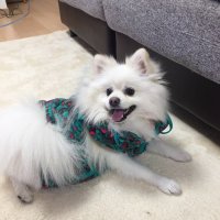 Tobi (@hiro17511) 's Twitter Profile Photo Tobi (@hiro17511) 's Twitter Profile Photo