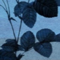 Delight City 🍬 (@delightcty) 's Twitter Profile