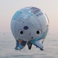 Artie the Octopus (@artiehas7legs) 's Twitter Profile