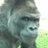 マウあん12時