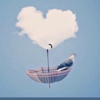 Ess (@ess99590968) 's Twitter Profile