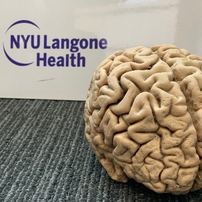 Neuroscience Institute at NYU Langone Health