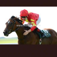 Declan Mc Donogh (@declanmcdonogh) 's Twitter Profile Photo Declan Mc Donogh (@declanmcdonogh) 's Twitter Profile Photo