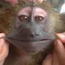 Monkey Blqd (@johnyblqdman) Twitter profile photo Monkey Blqd (@johnyblqdman) Twitter profile photo