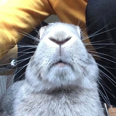 maaryas123's profile picture. she/her