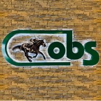 OBSSales (@obssales) 's Twitter Profile