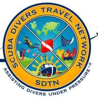 SDTN (@sdtnsocial) 's Twitter Profile