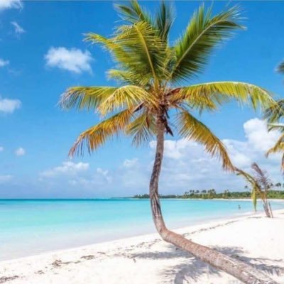 gilberto_mb2002's profile picture. 