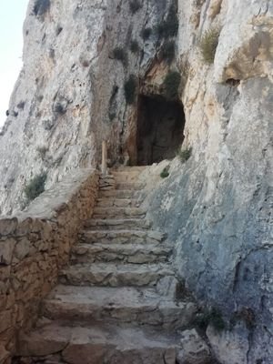 Carmenc18845895's profile picture. Viva la música,la vida es bella