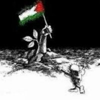 bitar_jad (@bitarjad1) 's Twitter Profile