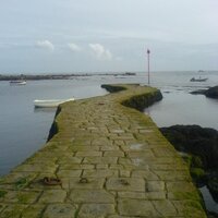 Thomas Pellerin (@thomaspellerin) 's Twitter Profile