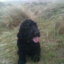 Rob Fox - @rjf47 - Twitter