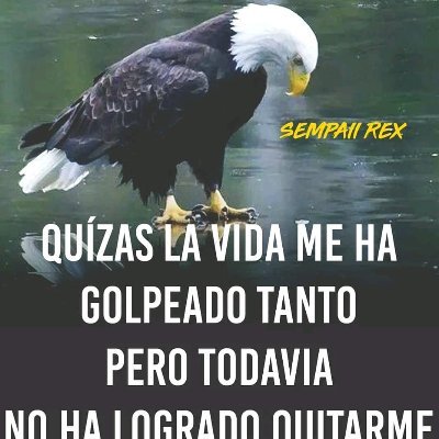 EfrenPazArroyo2's profile picture. 