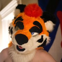 Your Favorite Tiger (@tigersaucee) 's Twitter Profile