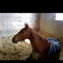 Laura Plant - @Plant183 - Twitter